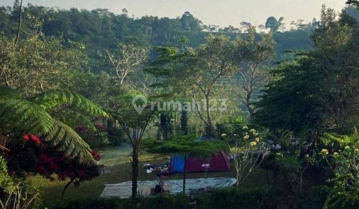Tanah Perkebunan Cocok Untuk Wisata Kebun di Cikalong Wetan 2