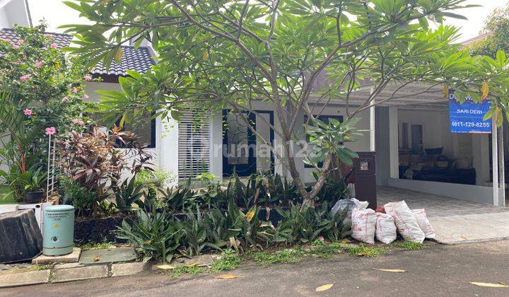 Brand New Home For Rent Di Mahagoni Bintaro, Bersih Dan Rapi 1