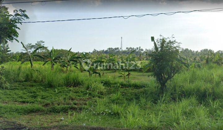 Tanah Murah, Posisi Mainroad di Gilimanuk Bali 2