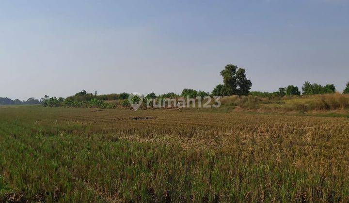 Dijual Tanah Luas Lokasi Strategis Bebas Banjir Di Karawang, Kota Bekasi 1