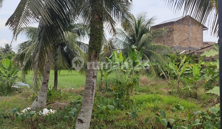 Land for Sale on Jl Jamin Ginting KM 8.5 - Land Area Approximately 3,000 M²