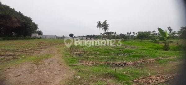For Quick Sale Medan Binjai KM 13 Land
