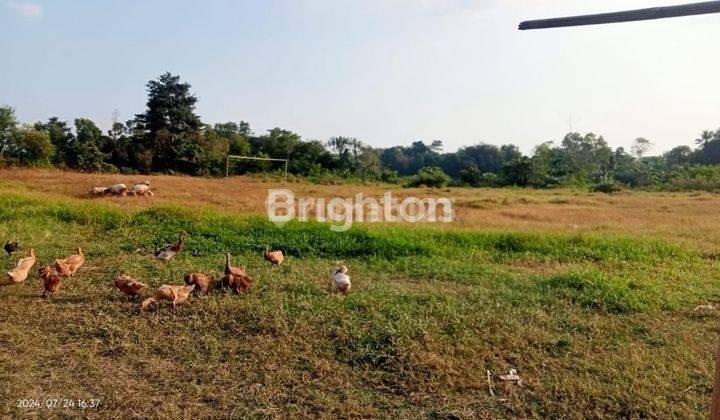 TANAH DI KAMPUNG CINIBUNG KARANGHARJA CISOKA TANGERANG BANTEN 1