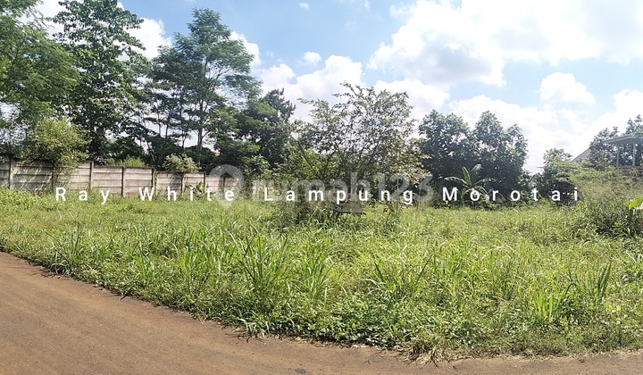 Dijual Tanah Jalan Pramuka LT 1154 meter harga terjangkau