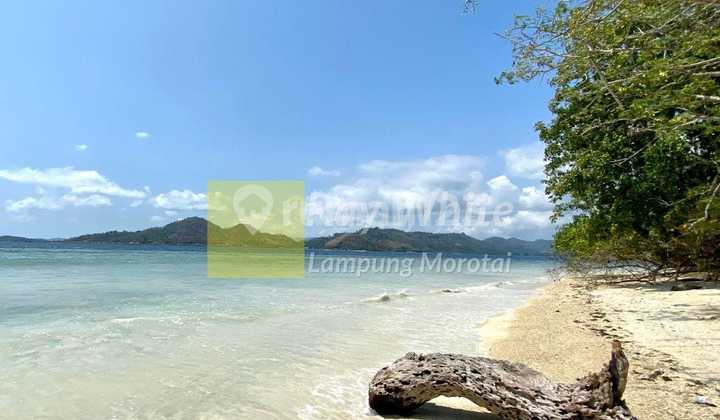 Tanah di Pulau Pahawang bandar lampung