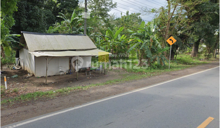 Affordable Land on the East Sumatra Cross Road, Tulang Bawang, Bandar Lampung. Affordable Land on the East Sumatra Cross Road, Tulang Bawang, Bandar Lampung.