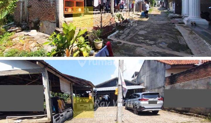 harga Greenstock cocok untuk Kost an lokasi dekat kampus 2