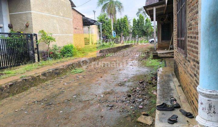 Tanah dan Rumah murah kawasan museum transmigrasi gedong tataan pesawaran 2