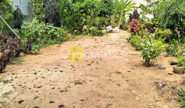 Tanaha lokasi teluk Bandar Lampung untuk Usaha strategis