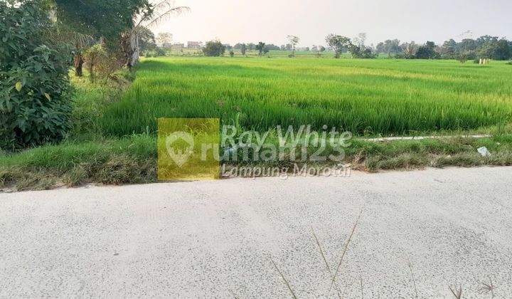 Tanah MURAH strategis jati mulyo cocok untuk invest