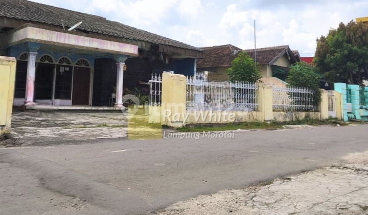 Dijual tanah bonus Bangunan terjangkau luas tanah 565m sultan agung