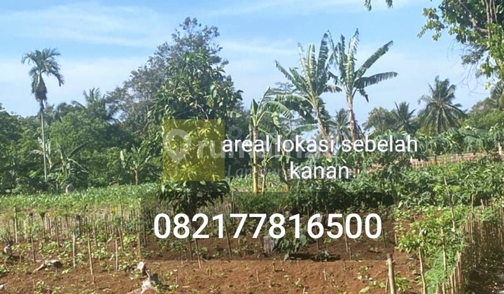 Dijual Tanah lokasi Katibung padasuka lampung selatan
