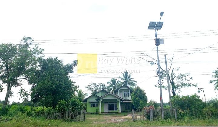 Tanah dijual disewakan strategis  jalan lintas sumatra lokasi Terbanggi 2