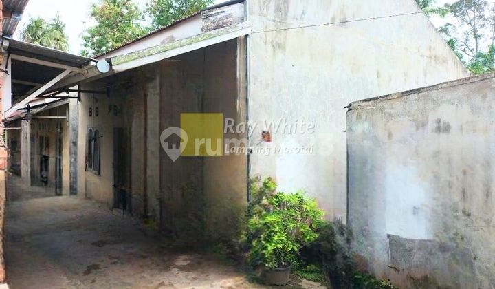 Dijual Tanah bonus Bangunan Talang Bakung Dijual Tanah bonus Bangunan Talang Bakung