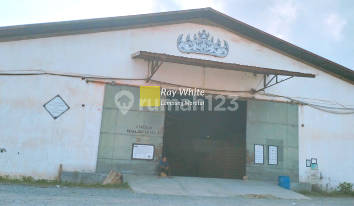 Land for sale with ready-to-occupy warehouse included.