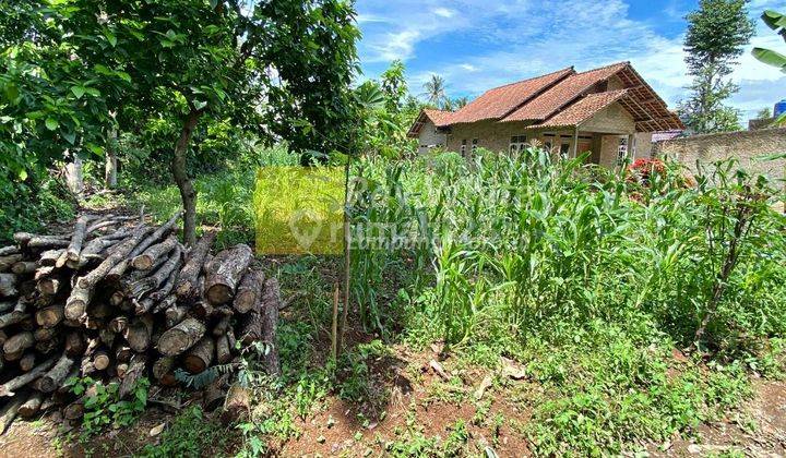 Tanah Murah di Karang Anyar , Jati agung , Lampung Selatan 1