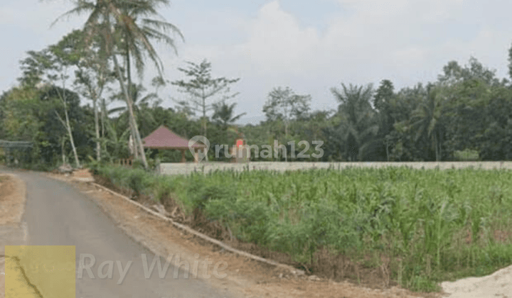 Tanah Gedong Tataan Pesawaran 1