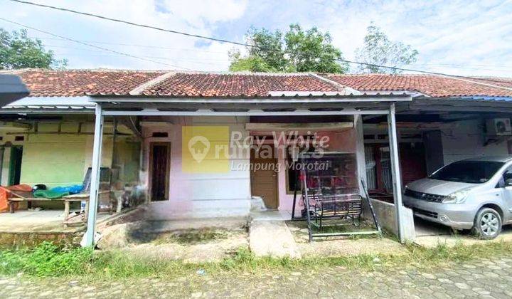 Rumah Sewa Murah Belakang Lapangan Golf dan Kampus UIN Lampung 1