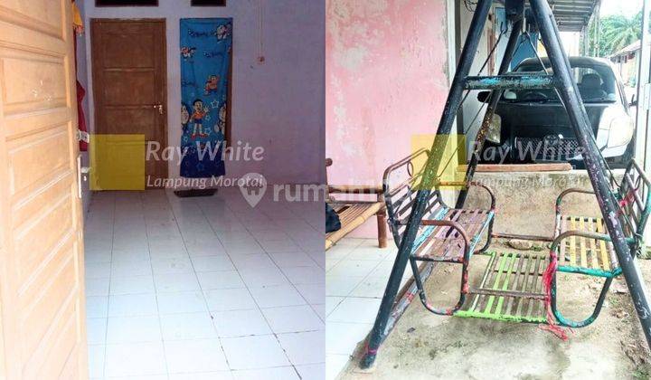 Rumah Sewa Murah Belakang Lapangan Golf dan Kampus UIN Lampung 2