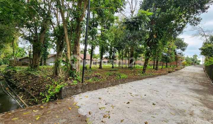 Tanah Pekarangan Cocok Untuk Homestay Atau Villa Di Candibinangun, Pakem Lingkungan Sejuk Dan Nyaman