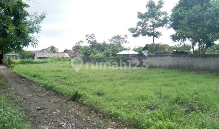 Tanah Pekarangan Murah Di Berbah Cocok Untuk Hunian Tanah Pekarangan Murah Di Berbah Cocok Untuk Hunian