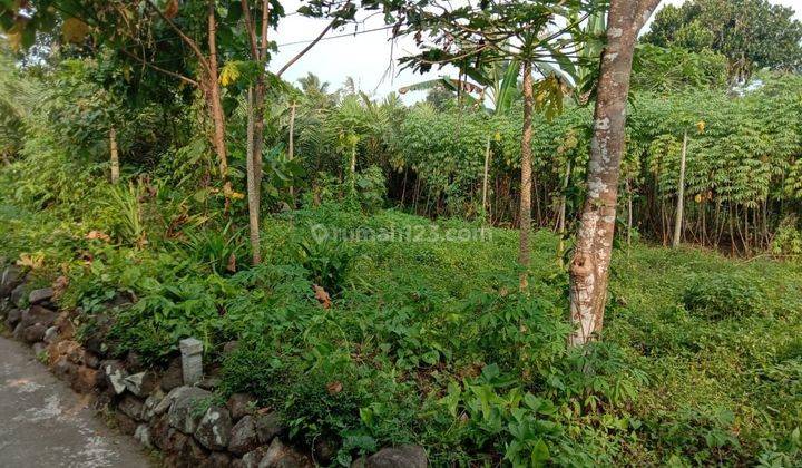 Tanah Pekarangan Murah Dekat Rsud Sleman, Cocok Untuk Hunian 1