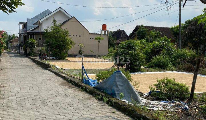 Tanah Pekarangan Bagus Di Tirtomartani, Kalasan Cocok Untuk Hunian 2