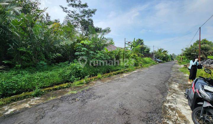 Tanah Murah, Kebun Salak Di Pules Kidul, Turi, Lokasi Sejuk Dan Nyaman, Cocok Untuk Hunian Atau Investasi 2