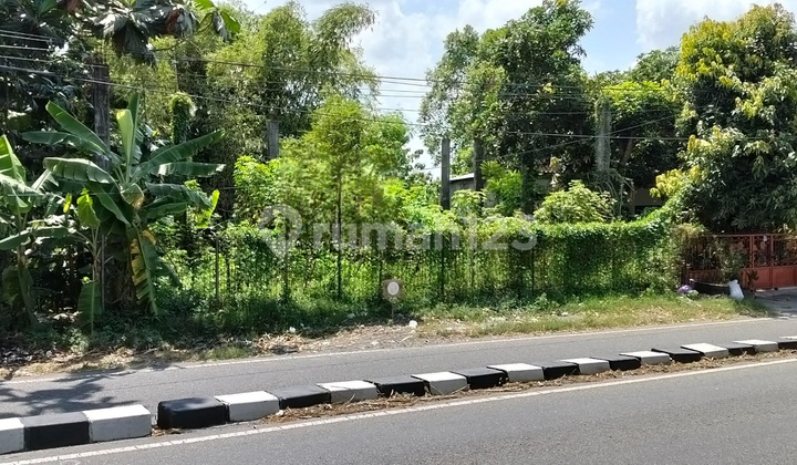 Tanah Pekarangan Pinggir Ring Road Timur Cocok Untuk Usaha Tanah Pekarangan Pinggir Ring Road Timur Cocok Untuk Usaha