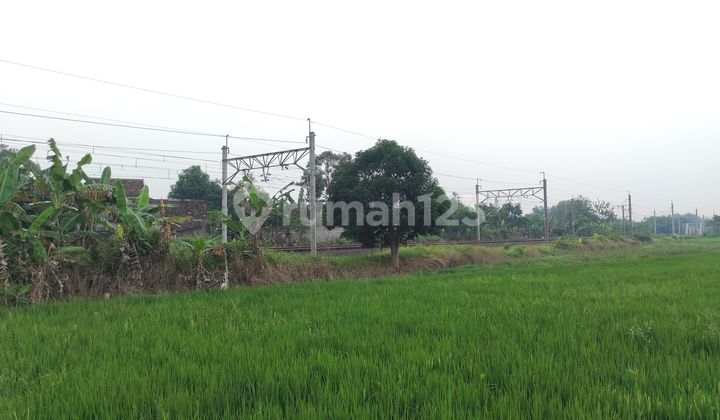 Tanah Sawah Murah Dan Subur Di Sumberejo, Klaten Selatan
