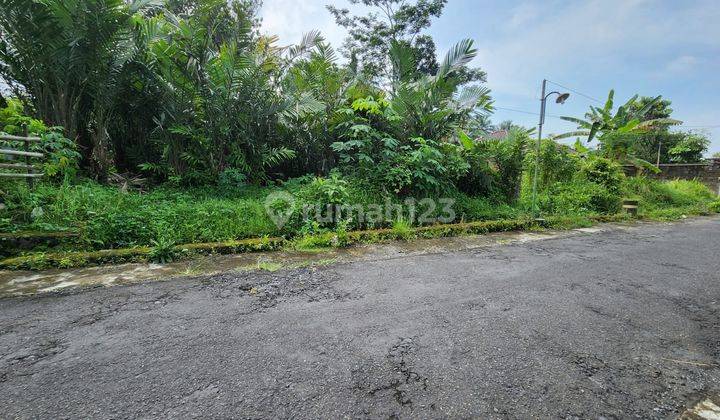 Tanah Murah, Kebun Salak Di Pules Kidul, Turi, Lokasi Sejuk Dan Nyaman, Cocok Untuk Hunian Atau Investasi 1