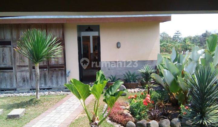 Rumah Modern Tropical Garden, Fully Furnished Lokasi Di Ganjuran  2