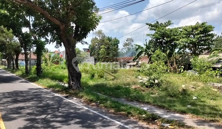 Tanah Pinggir Jl Ring Road Timur, Cocok Untuk Dibuat Gudang, Kompleks Ruko Atau Sebagai Investasi