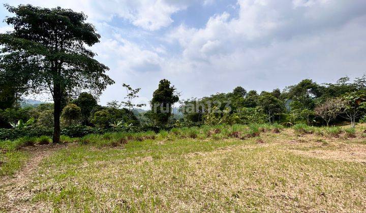 Jual Dan Investasi Tanah, Murah, Di Bogor Timur 126,26 m² 1