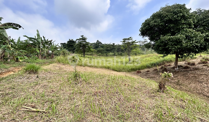 Jual Dan Investasi Tanah, Murah, Di Bogor Timur 136,27 m² 1