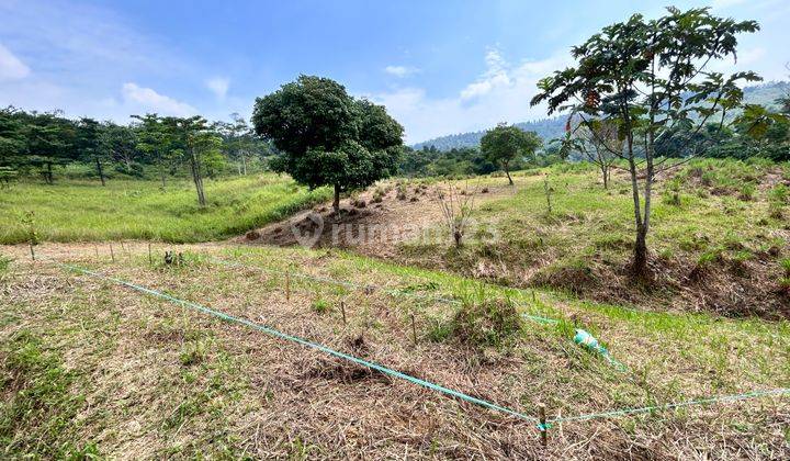 Jual Dan Investasi Tanah, Murah, Di Bogor Timur 141,55 m² 1