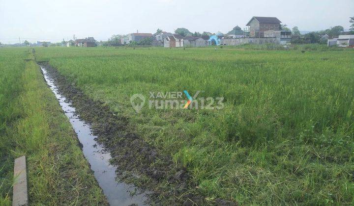 Tanah Super Luas di Jl Sidodadi Kebonangung Kab Malang 2