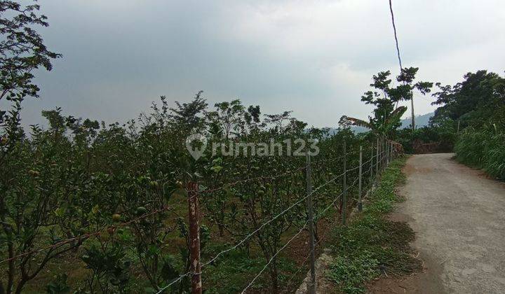 Termurah Dikelasnya Tanah Kebun Siap Bangun Di Dieng Atas Malang  2