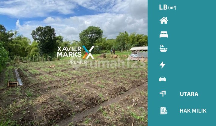 For Sale Cheap Land in Landungsari, Suitable for Plantation in Malang