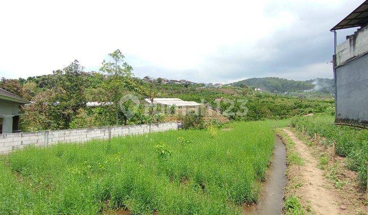 Land for Sale in Punten Bumiaji, Batu City, Mountain View and Cool Atmosphere