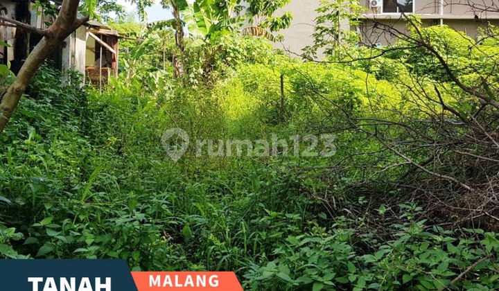 For Rent Strategic Land in Dieng Valley Malang Near Little Island, Bellecrown For Rent Strategic Land in Dieng Valley Malang Near Little Island, Bellecrown