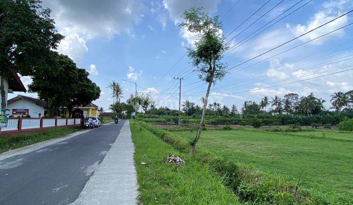 Butuh Cepat Laku Dijual Tanah Murah Nol Jalan Sukoanyar Pakis Malang  2