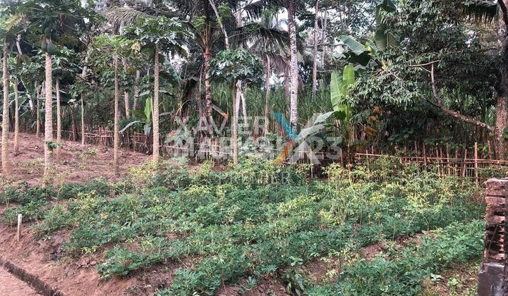 Very Cheap Land for Sale Zero Road Frontage in Tlogowaru Kedungkandang Malang
