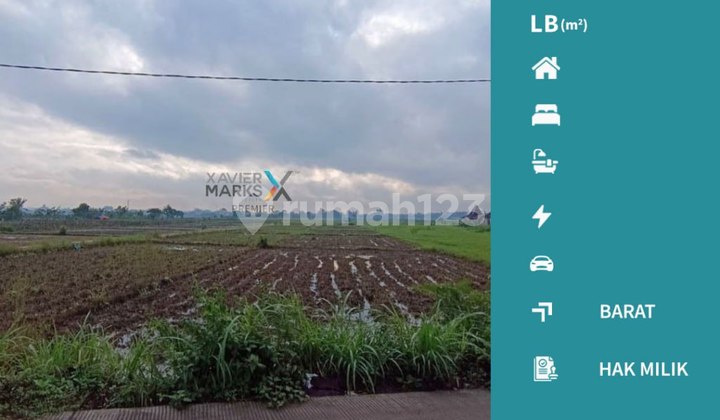 Jarang Ada Dijual Tanah Siap Bangun di Sekarpuro, Pakis Malang Jarang Ada Dijual Tanah Siap Bangun di Sekarpuro, Pakis Malang