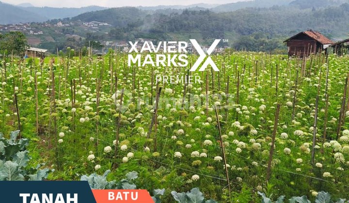 Jarang Ada Dijual Tanah Tepi Jalan Raya Tulungrejo, Bumiaji Kota Batu