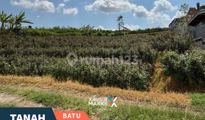 Land for Quick Sale on Jl. Raya Pandanrejo Batu, Near Alun Alun Batu
