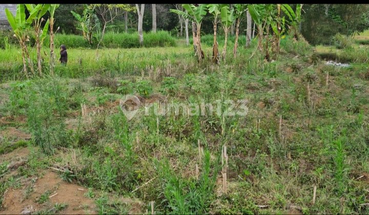 Quick Sale Plot of Land for Sale on Hasanudin Batu, Behind Baptist Hospital.