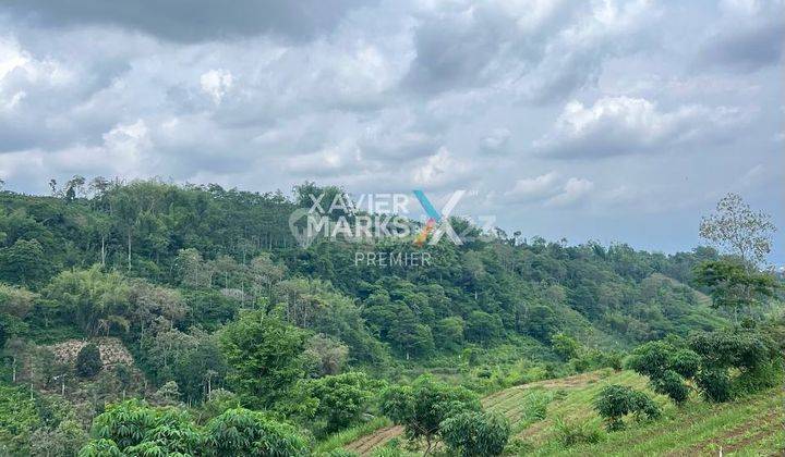 Dijual Murah Tanah Lokasi di Jedong Wagir Kabupaten Malang 2