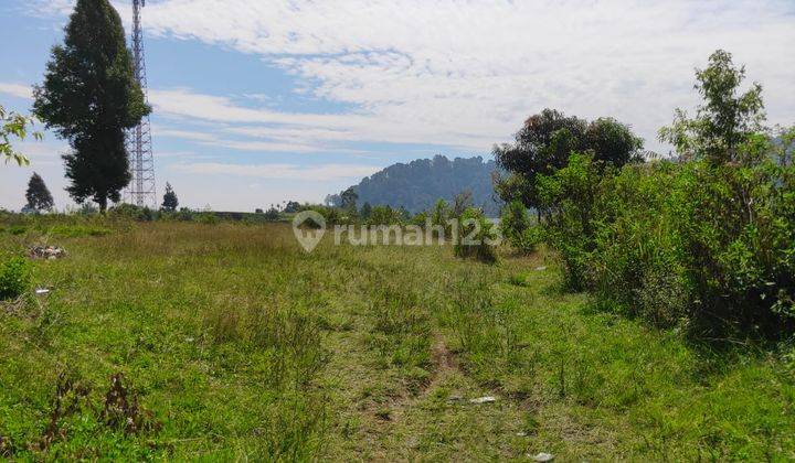 Tanah Untuk Investasi Pinggir Jalan Utama Gambung Ciwidey 1