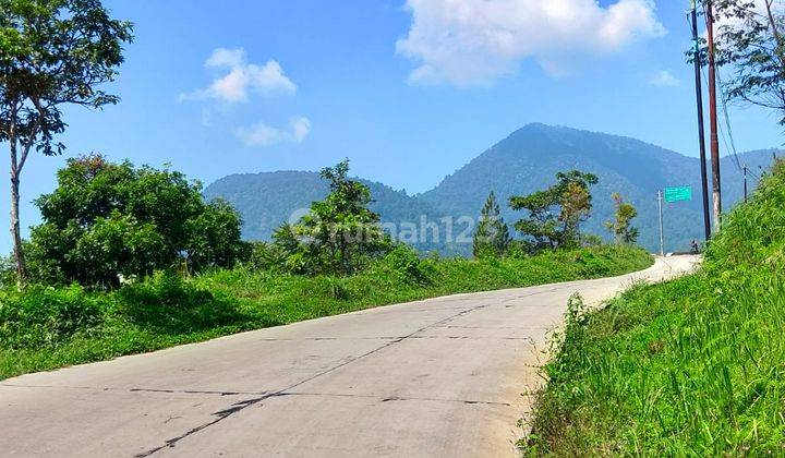 Harga Termurah .. Tanah Bagus Asri Dan Sejuk di Gambung Ciwidey 2